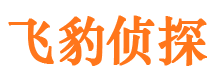 山海关侦探